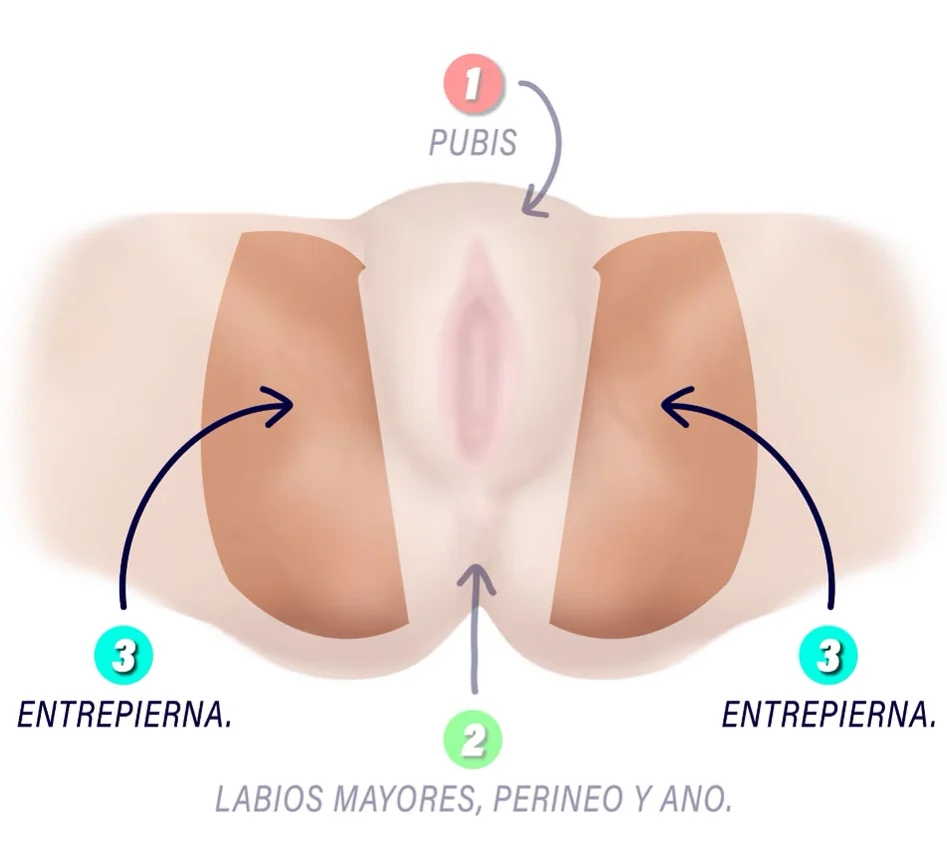 Diagrama de la zona 3, Entrepiernas